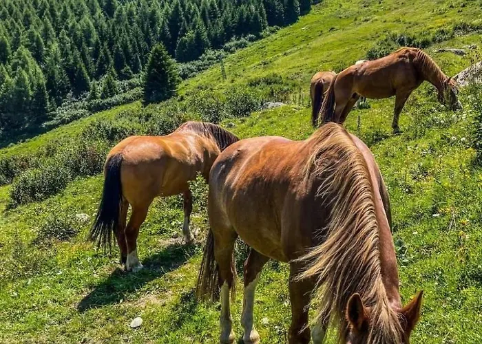 Mit Panoramablick In Bergwelt By Interhome Apartment *