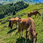 Mit Panoramablick In Bergwelt By Interhome Апартаменты *